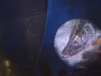 ZUR le boulon-109023